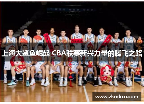 上海大鲨鱼崛起 CBA联赛新兴力量的腾飞之路