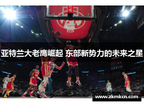 亚特兰大老鹰崛起 东部新势力的未来之星